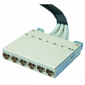 Сборка кабельная разветвительная Eurolan, кат. 6, экр., F/UTP, RJ45 10м, LSZH (нг(A)-HFLTx), чёрный, кассета-кассета, (24D-F6-06-10BL)