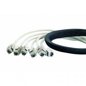 Сборка кабельная разветвительная Eurolan, кат. 6, экр., F/UTP, keystone/RJ45 20м, LSZH (нг(A)-HFLTx), чёрный, модуль-кассета, (24D-F6-07-20BL)