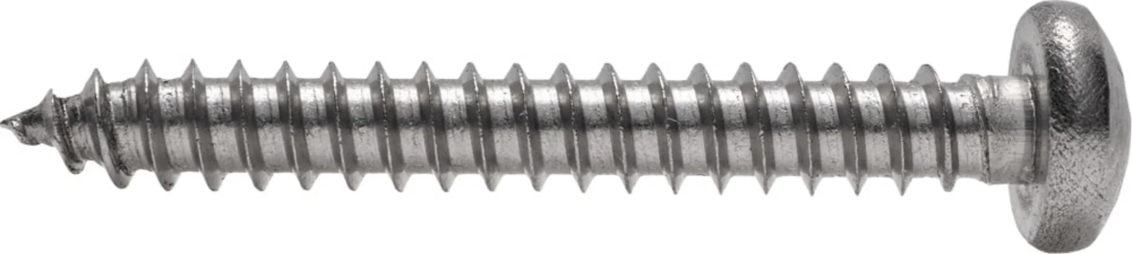 Саморез с полукруглой головкой DIN 7981  5,5x 60 A2