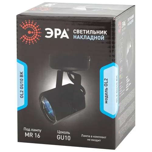 Светильник Накладной, черный (50/900)