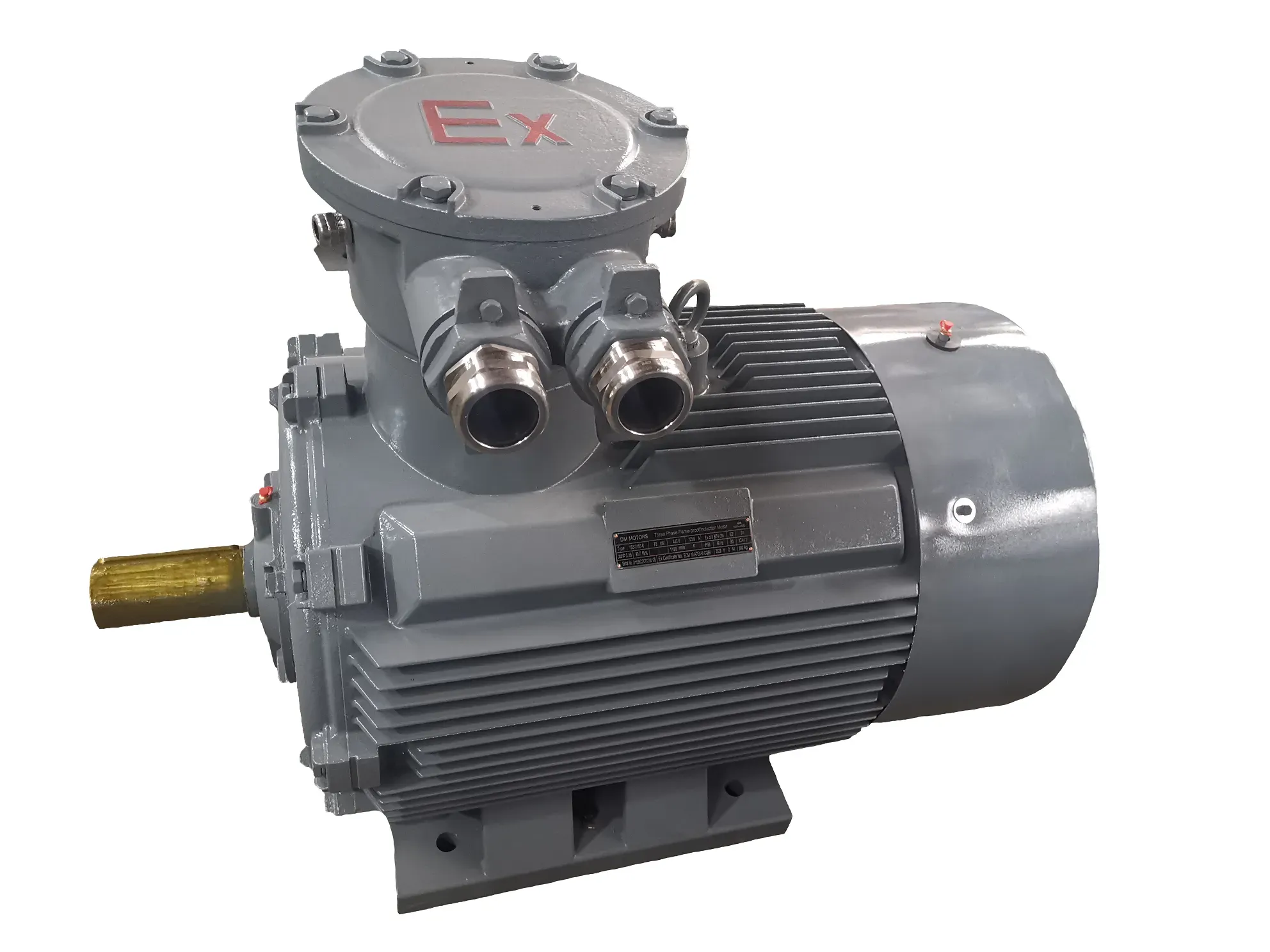 Электродвигатель взрывозащищенный YBX3 4501-6 560 кВт 985 об/мин 380/660 В IP55 IC411 IM 1001 IE3  1 Ex db IIC T4 Gb X Omec Motors YBX3IIC12316