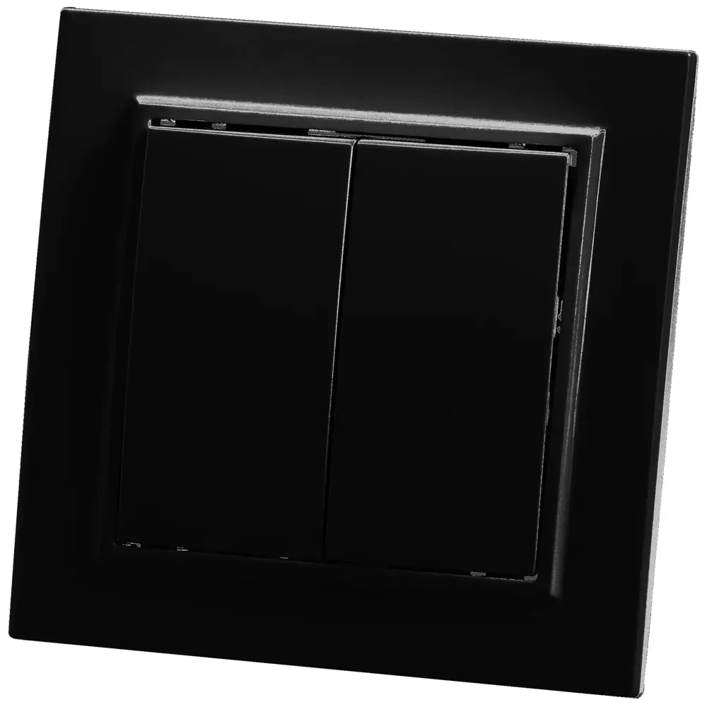 Выключатель двухклавишный, 250В, 10А, серия Эрна, черный Stekker FERON 39473