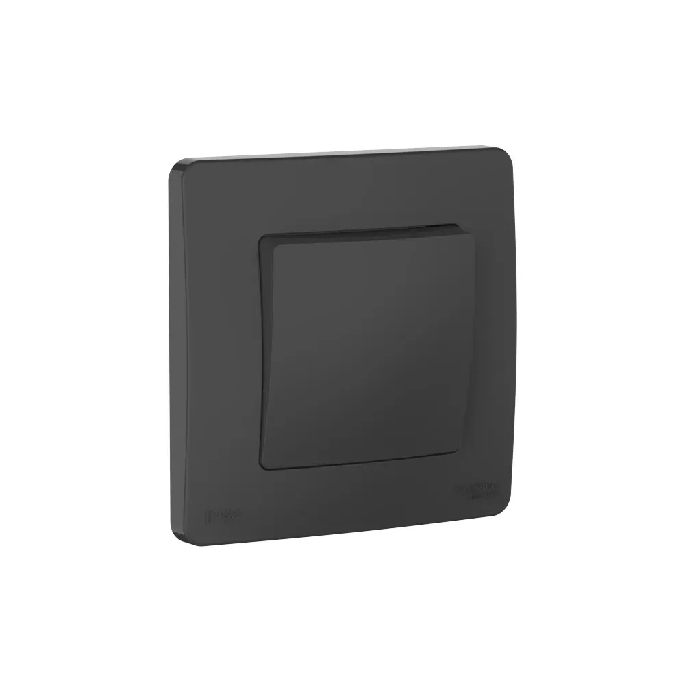 BLANCA С/У IP44 1-клавишный ПЕРЕКЛЮЧАТЕЛЬ (сх.6), 10AX, 250В, АНТРАЦИТ SE (Потенциал) BLNVS410606