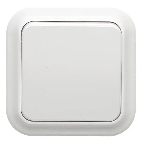 Выключатель одноклавишный скрытой установки БелТИЗ Выключатель С1 6-004