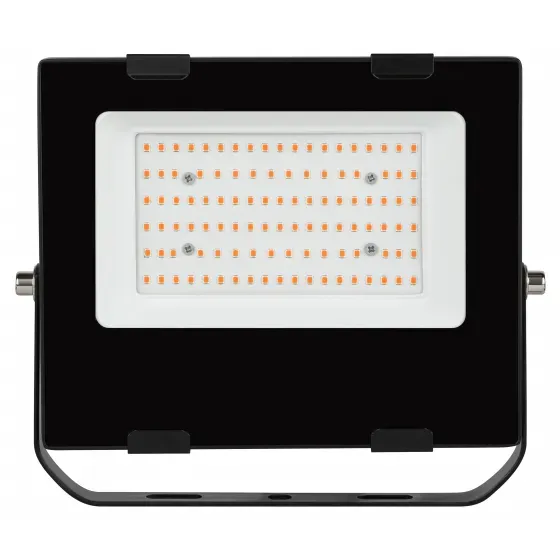 Прожектор красно-синего спектра fito-100w-rb-led ЭРА Б0046369