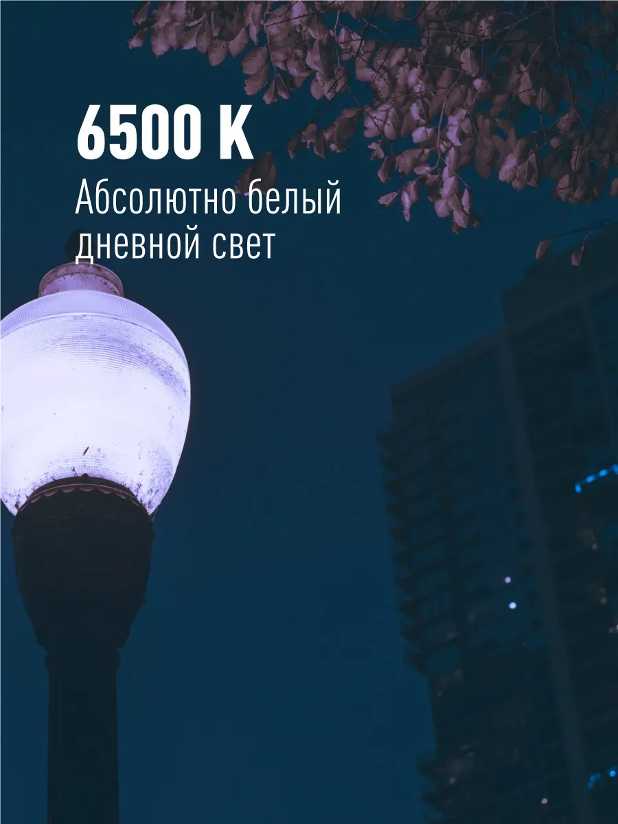 Лампа светодиодная LED 30Вт 220В Е27 D80х135 6500К дневной 2650 лм
