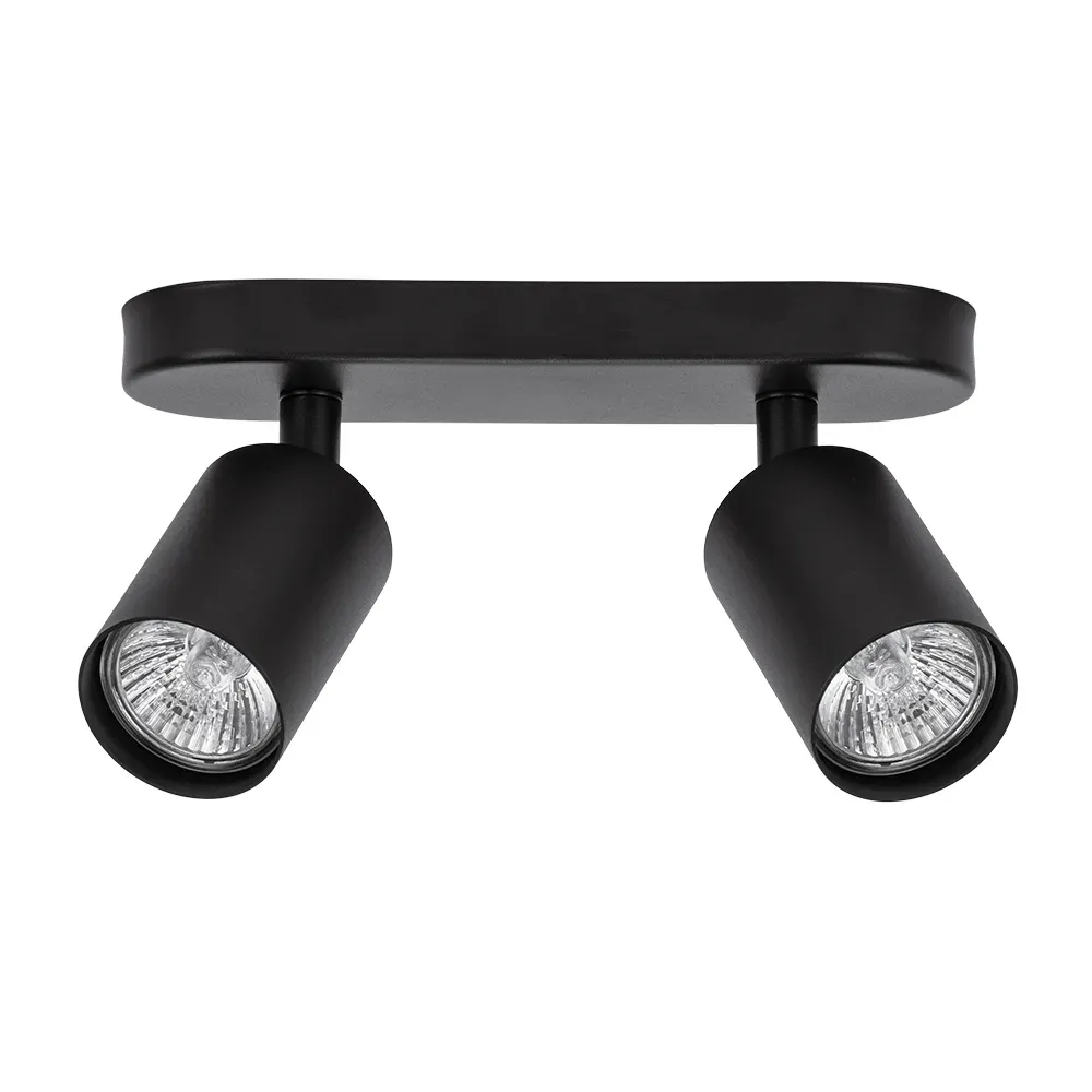 Спот AQUARIUS Arte Lamp A3226PL-2BK