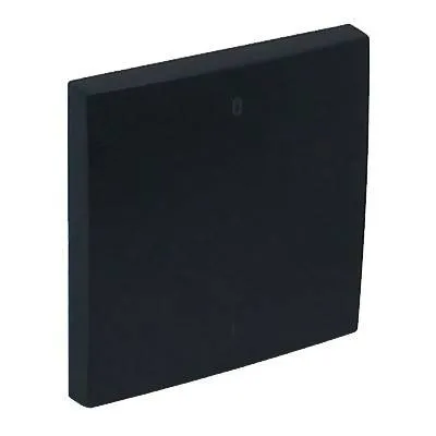 Клавиша для выключателя Efapel Logus90, 45х45 мм (ВхШ), кол-во клавиш: 1, цвет: чёрный, (90608 TPM) Efapel 90608 TPM