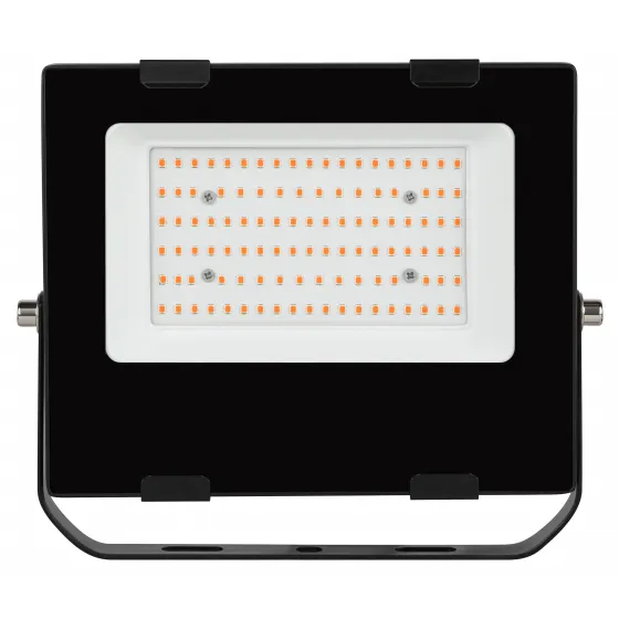 Прожектор красно-синего спектра fito-50w-rb-led ЭРА Б0046368