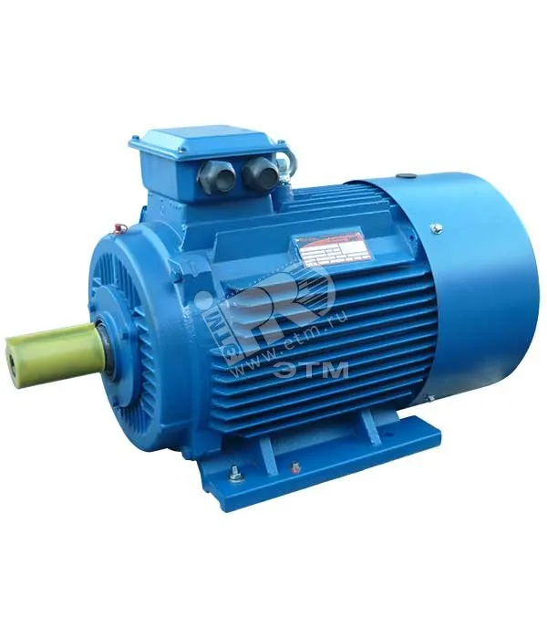 Электродвигатель 5АИ 180 М2 30/3000 IM 1001 Elcom 01.01.213464