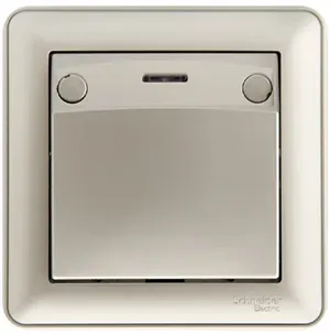 W59 Выключатель карточный одноклавишный скрытый с индикацией шампань SE (Потенциал) VS616-051-48