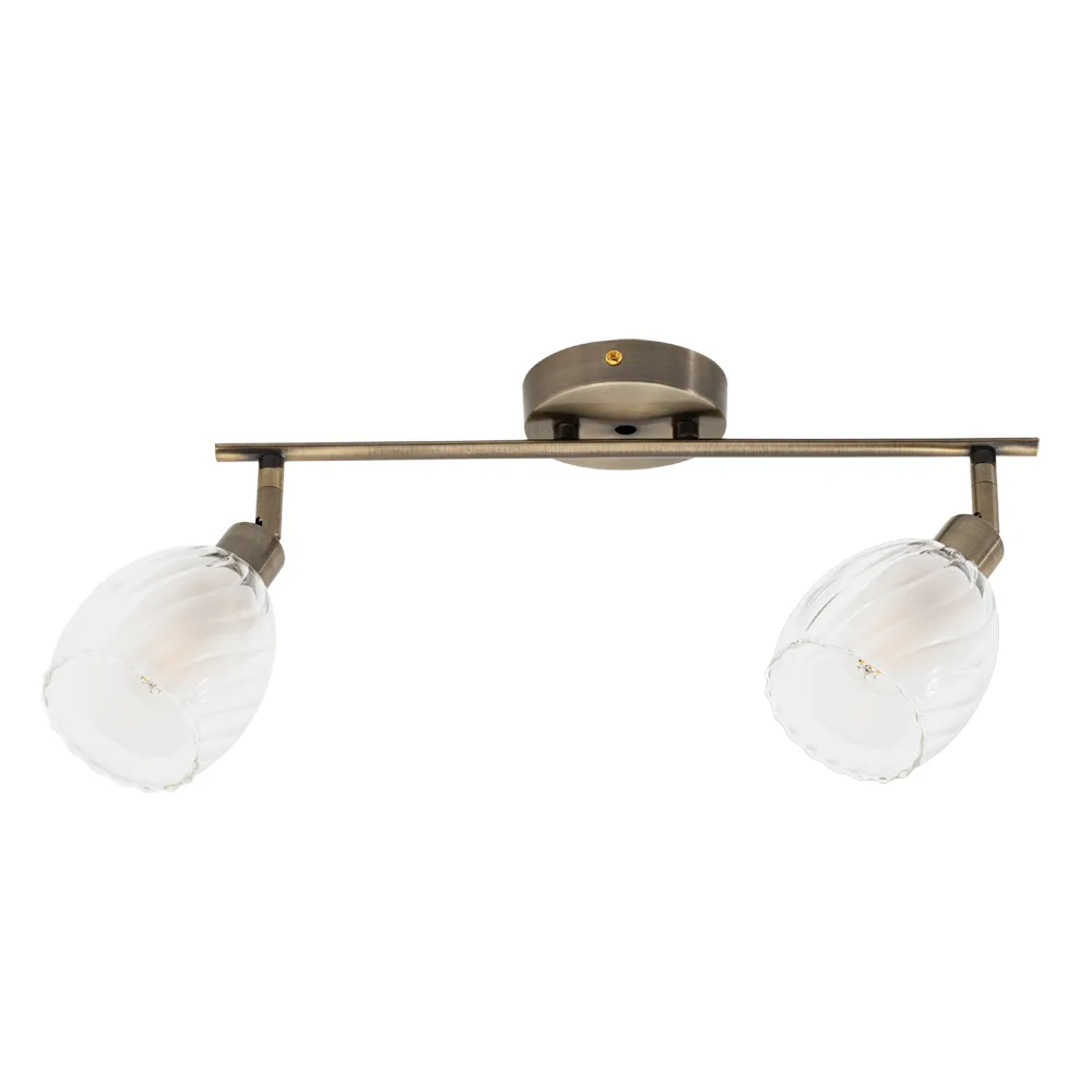 Спот BIHAM Arte Lamp A3184PL-2AB