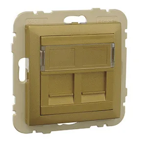 Efapel 90442 SDU Лицевая панель с суппортом для двух коннектеров RJ45, золото Efapel 90442 SDU