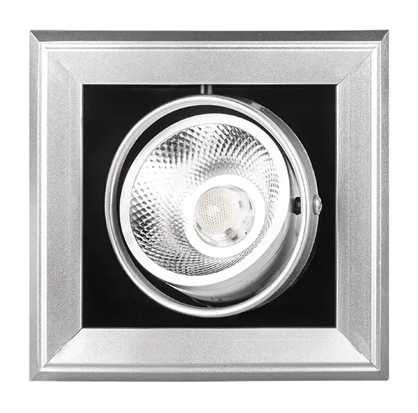 Светильник светодиодный встраиваемый карданный ДВО-1x9W 4000K 24° GREY  IP40 Jazzway JazzWay 5027145
