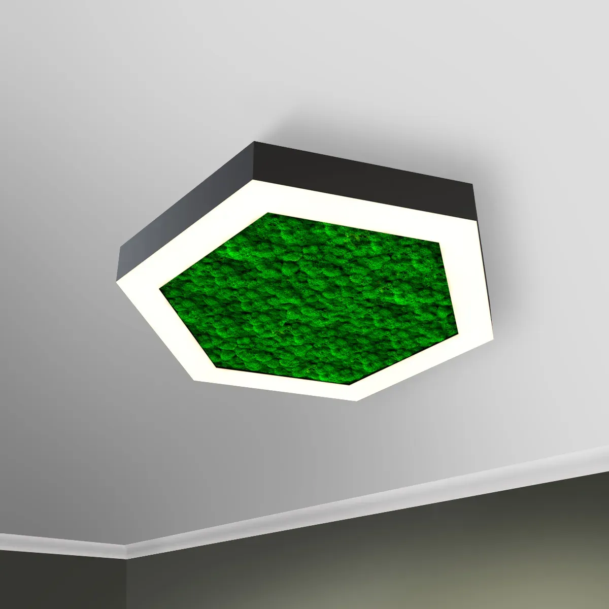 Светильник светодиодный RVE-LBX-MOSS-HEXA-500-N (Шестиугольник с отв. 500х433х100мм S80мм 30Вт Накладной 4000К Белый) RVElektro RVE00001634