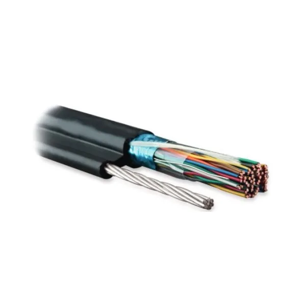 Многопарная витая пара 25 пар Кат.3 Hyperline FUTP25-C3-S24-SW-OUT-PE-BK
