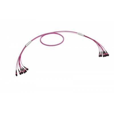Оптические патч-корды MTP/MTP 50/125 OM4 Оптические патч-корды MTP/MTP 50/125 OM4