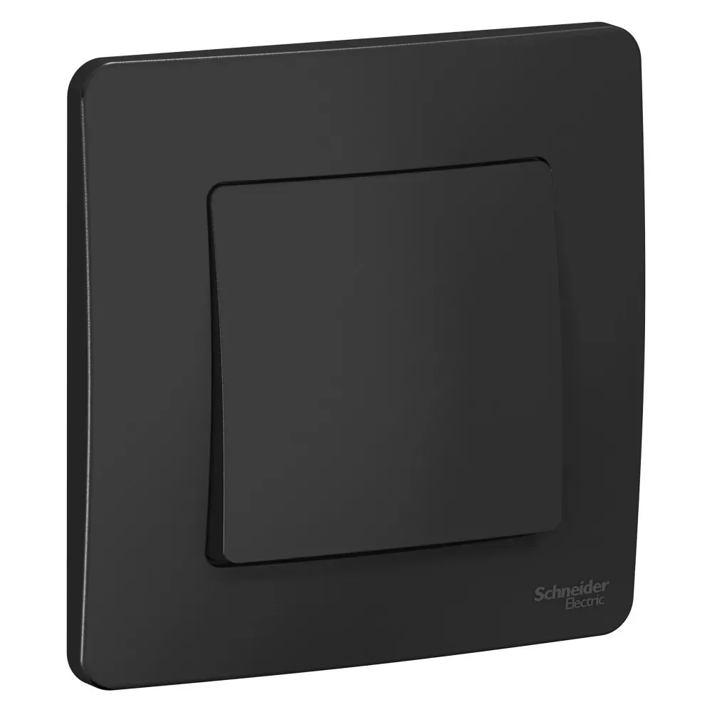 BLANCA скрытой установки одноклавишный выключатель (cх.1), 10A, 250B, антрацит SE (Потенциал) BLNVS010106