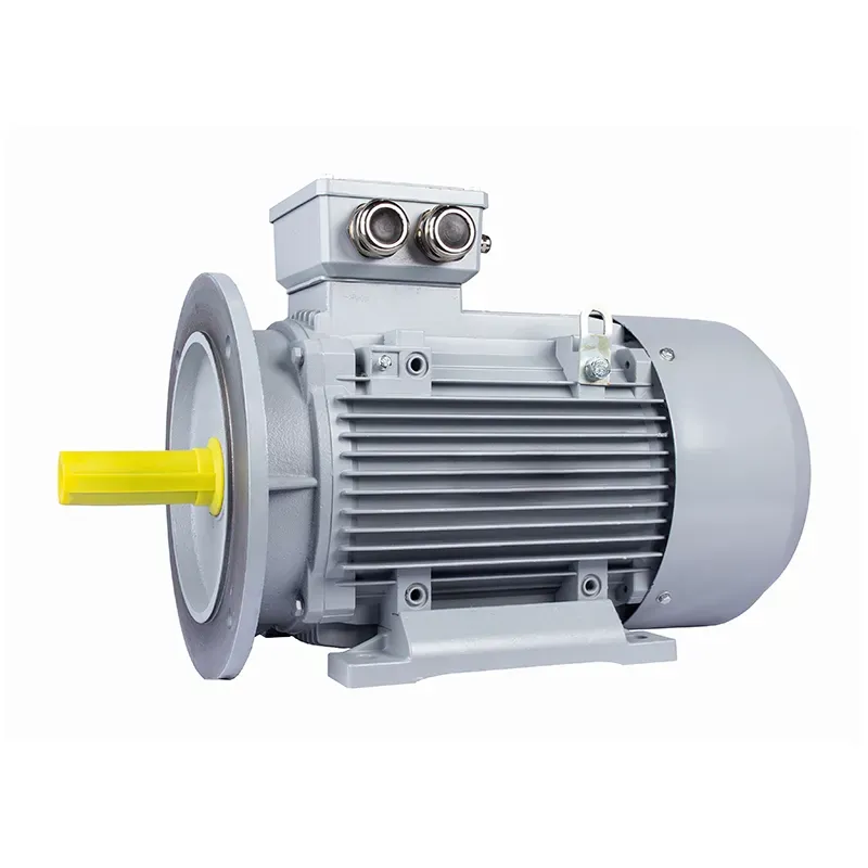 Электродвигатель общепромышленный ESQ PR 100 LB4-SDN-Б1-S12-IE2 3/1500  IM B35 ESQ 01.05.02.000044