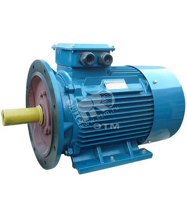 Электродвигатель 5АИ 200 L2 45/3000 IM 2001 Elcom 01.01.213644