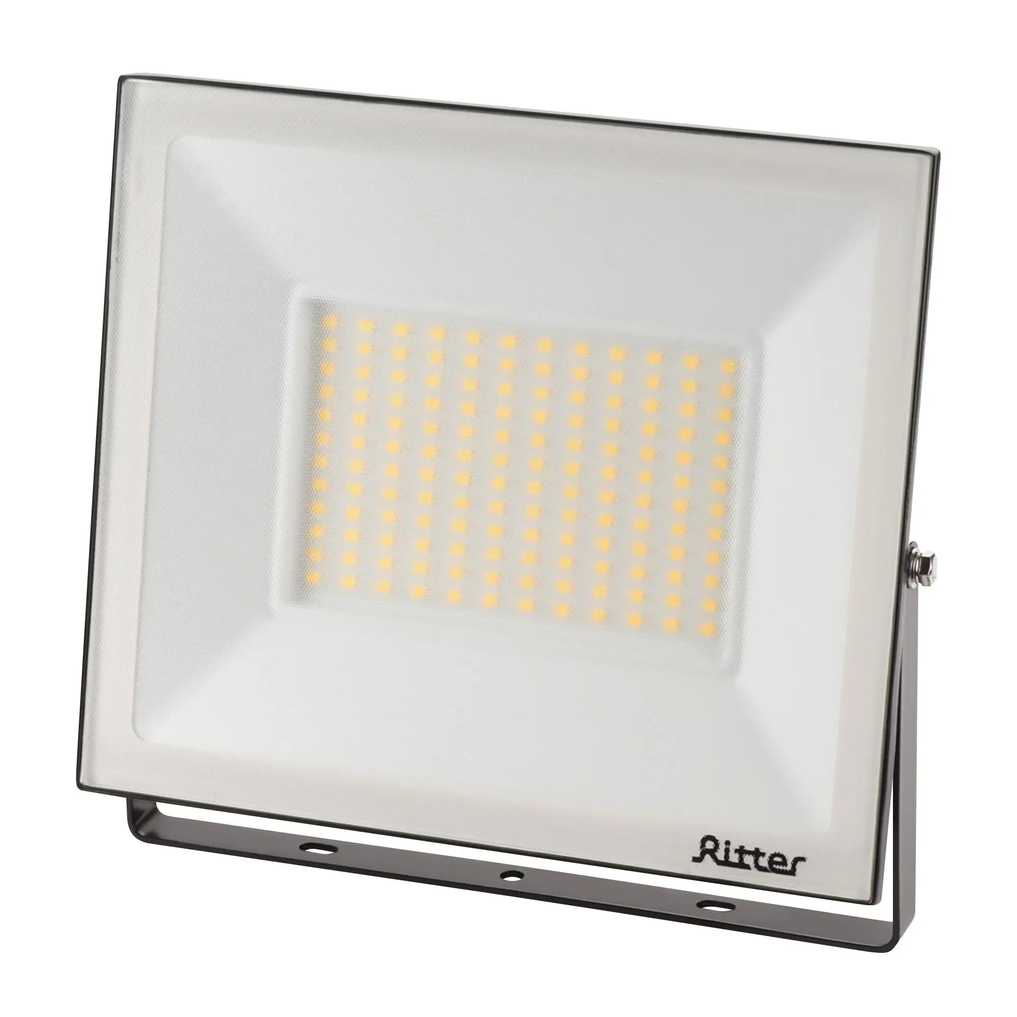 Прожектор светодиодный, серия profi, 230в, 100вт, 4000к, 10000лм, ip65, гарантия 5 лет, черный, 53419 5, ritter RITTER 53419 2
