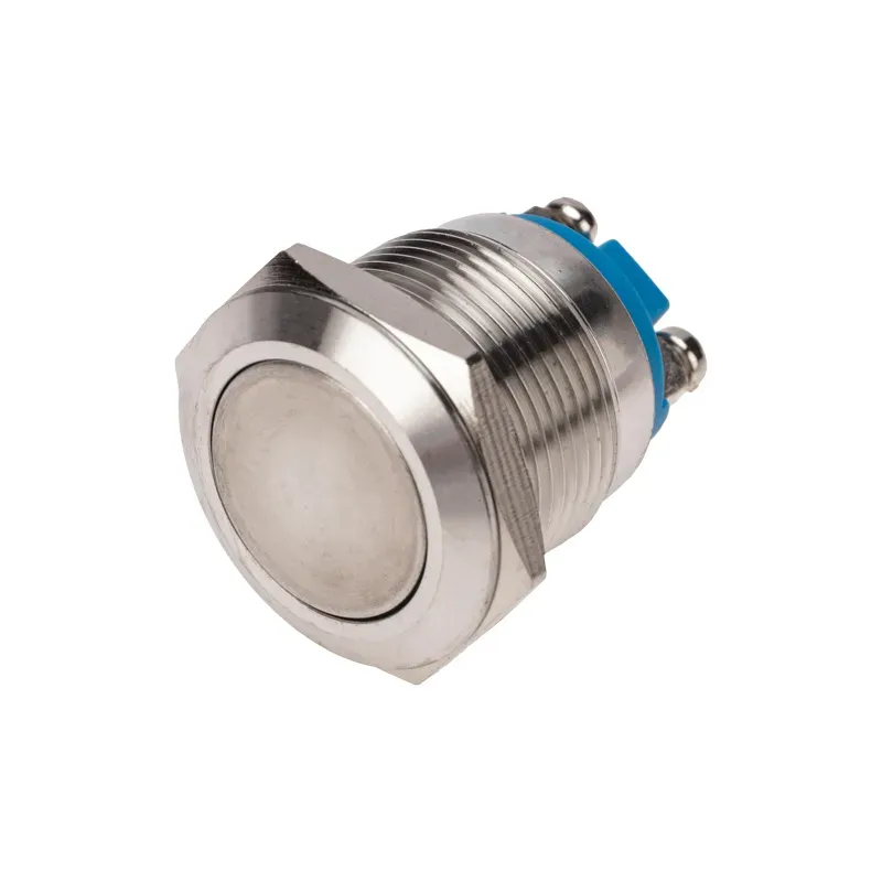 Кнопка антивандальная 19 Б/Фикс (2с винт) OFF-(ON) плоская REXANT 36-3411