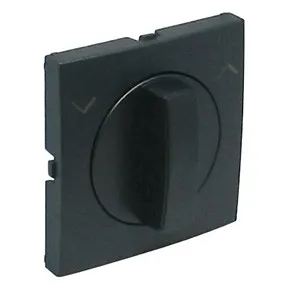 Efapel 90761 TIS Лицевая панель для 16A поворотного переключателя, серая Efapel 90761 TIS