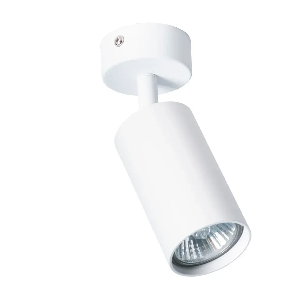 Светильник AQUARIUS Arte Lamp A3216PL-1WH