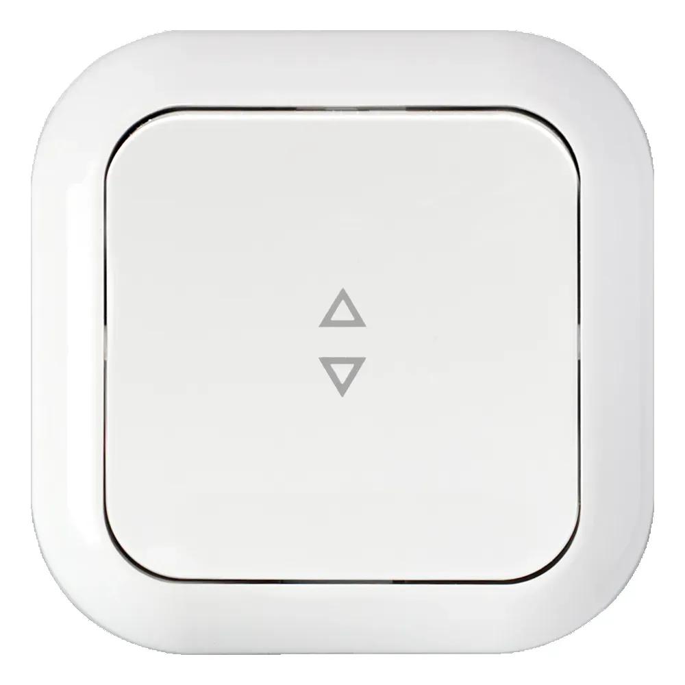 Беларусь Переключатель одноклавишный скрытый БелТИЗ Выключатель С6 6-120