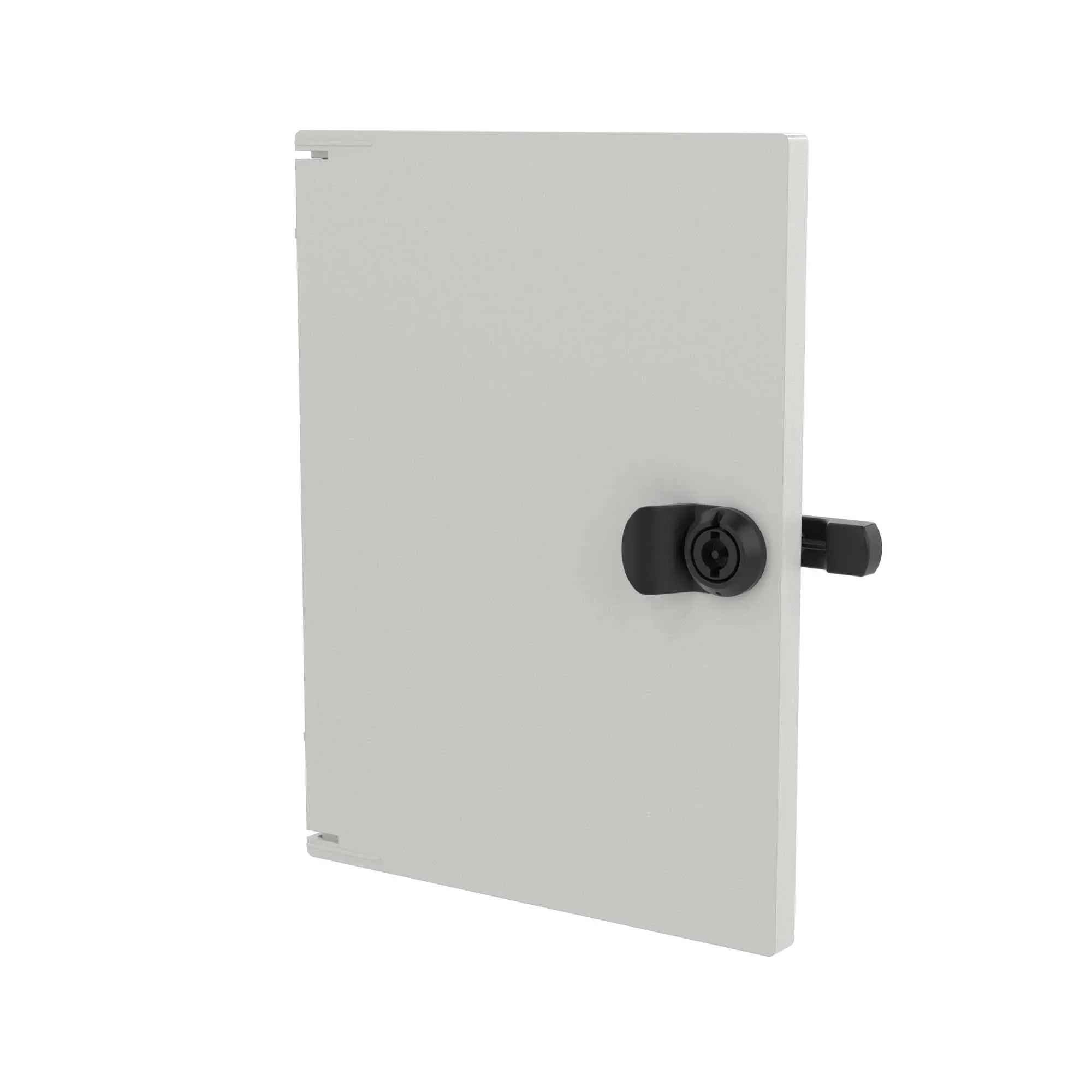 Внутренняя дверь для шкафа CN50391, В=300 мм, Ш=250 мм DKC CN5IE39