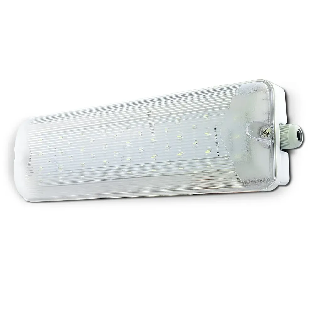 Светильник общего освещения ИП Раченков А.В. 00000000303