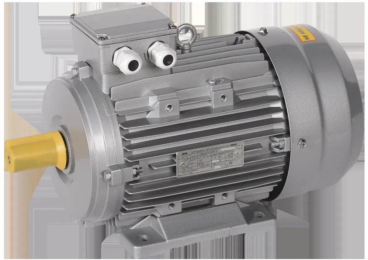 Электродвигатель трехфазный АИС 100L2 380В 3кВт 3000об/мин 1081 DRIVE ONI (IEK) AIS100-L2-003-0-3010