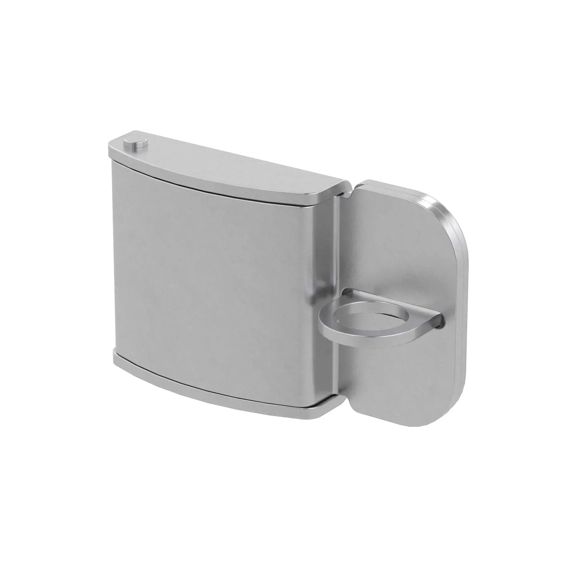 Накладка для навесного замка для цельного навесного шкафа из фибергласа DKC CN5PDL