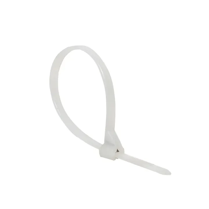 Хомут нейлоновый со стальным зубом (б), 3x100 (100шт) proxima EKF PLC-FL-CTSBW-3X100