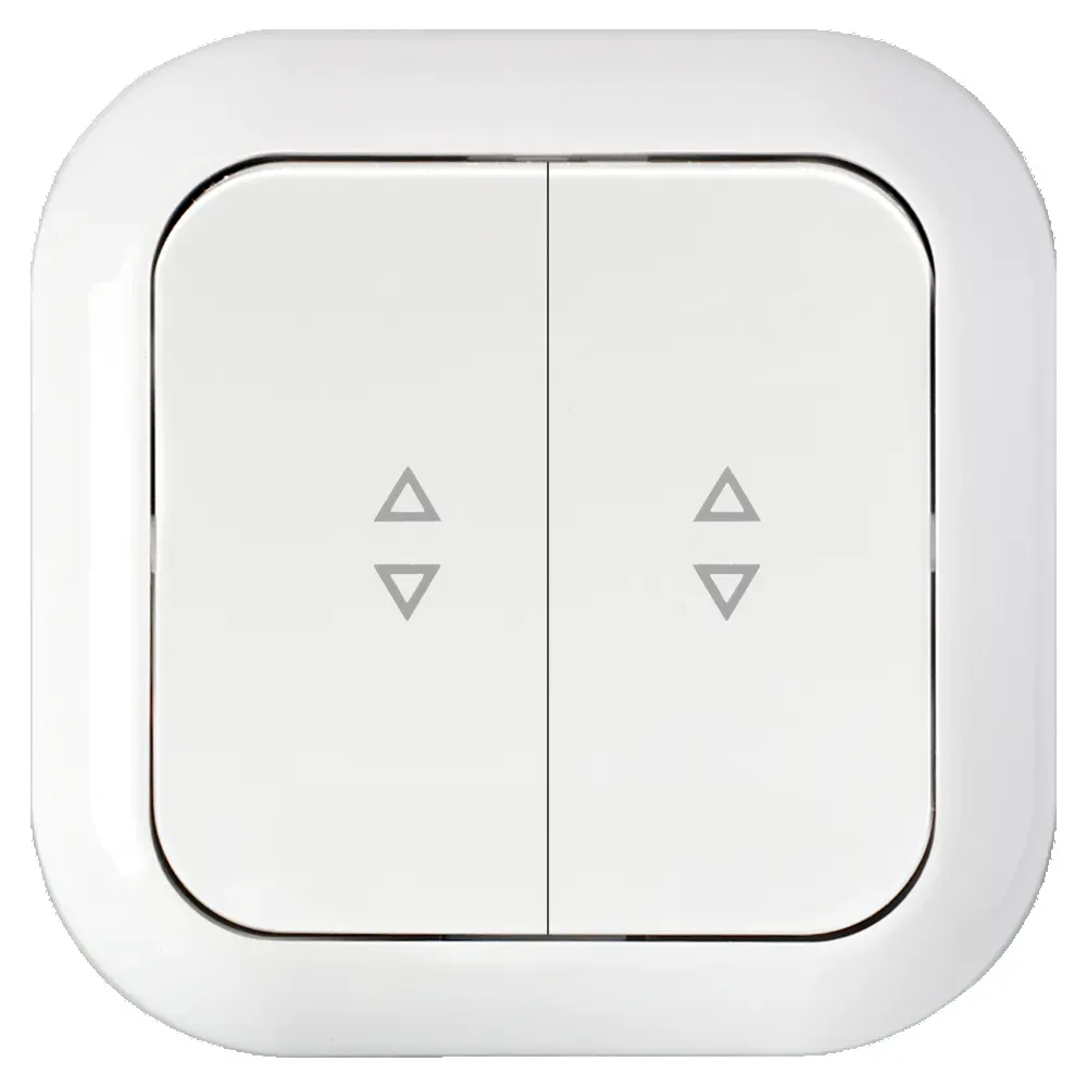 Беларусь Выключатель двухклавишный для управления цепями с 2-х и более мест БелТИЗ Выключатель С(6+6) 10-849