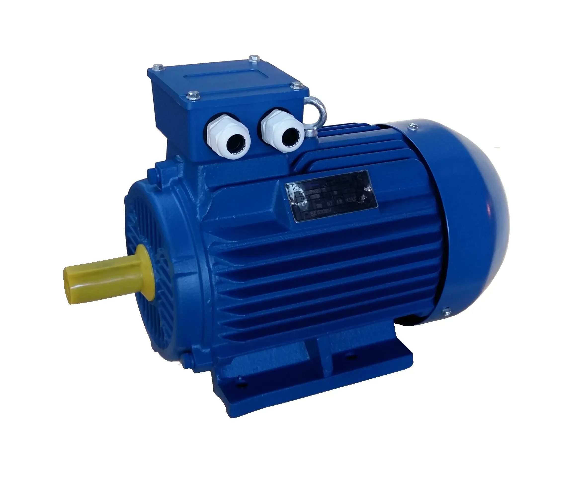 Электродвигатель трехфазный асинхронный АИР 100L2У1 5,5 кВт 3000 об/мин 220/380В IM1081 (B3) IP55 ЭМШ СЗЭМО Х0000061868