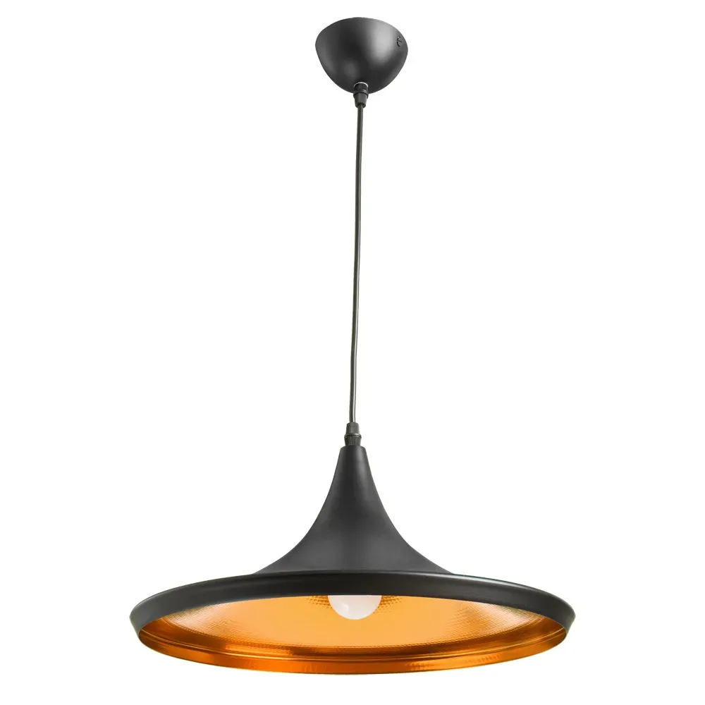 Светильник CAPPELLO Arte Lamp A3406SP-1BK