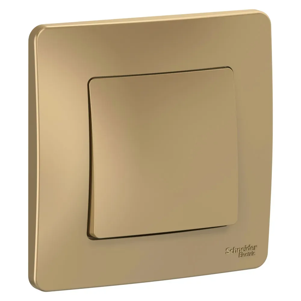 BLANCA скрытой установки одноклавишный выключатель (cх.1), 10A, 250B, титан SE (Потенциал) BLNVS010104