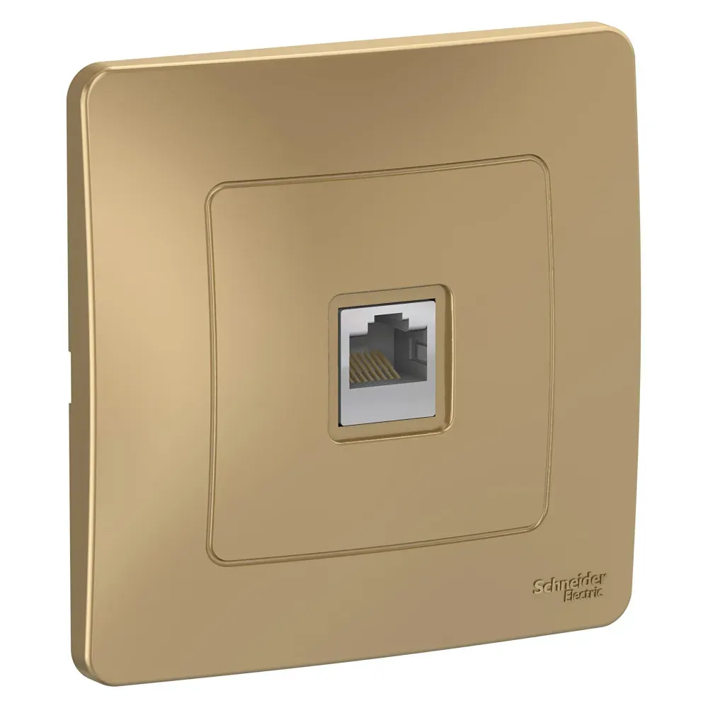 BLANCA скрытой установки розетка компьютерная RJ45, титан SE (Потенциал) BLNIS045004