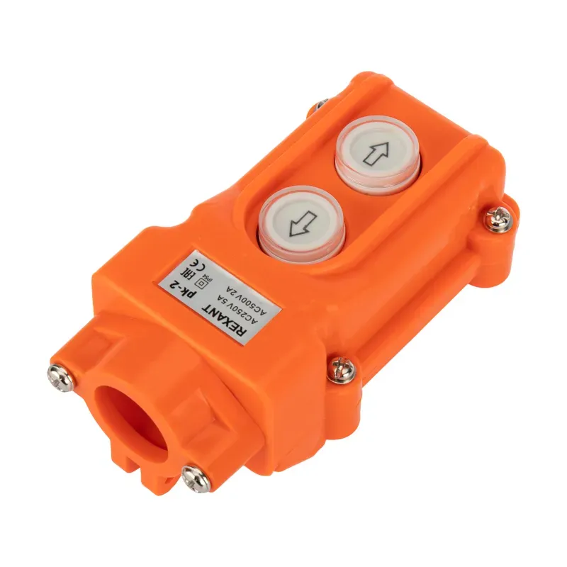 Пульт кнопочный ПК-2 на 2 кнопки IP54 REXANT 36-9210