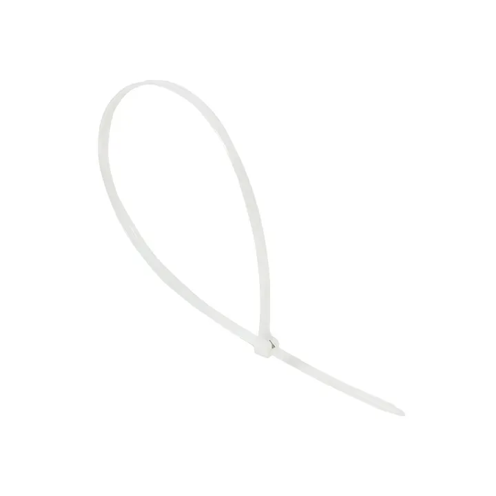 Хомут нейлоновый со стальным зубом (б), 5x300 (100шт) proxima EKF PLC-FL-CTSBW-5X300