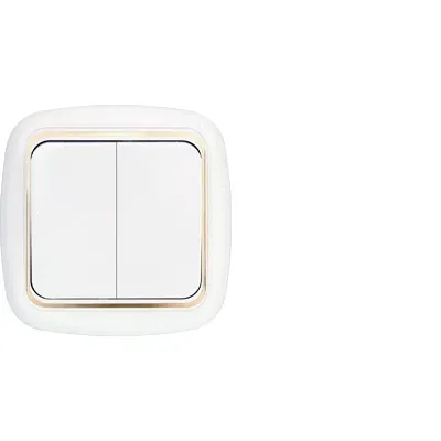 Беларусь Выключатель двухклавишный для управления цепями с 2-х и более мест С(6+6)10-843 БелТИЗ Выключатель С(6+6) 10-843