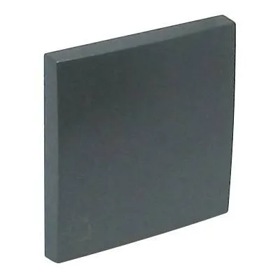 Клавиша для выключателя Efapel Logus90, 45х45 мм (ВхШ), кол-во клавиш: 1, цвет: тёмно-серый, (90607 TIS) Efapel 90607 TIS