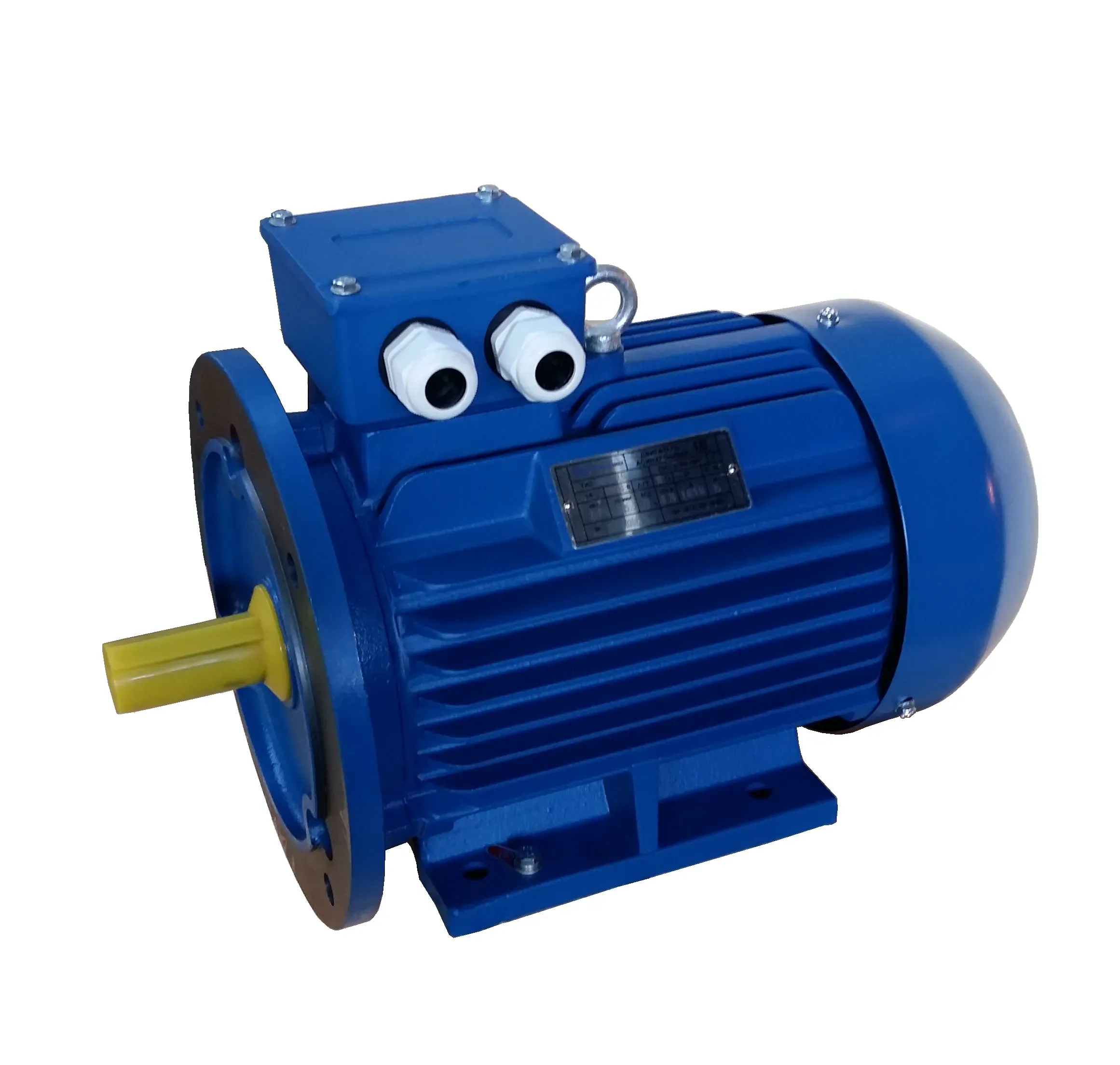 Электродвигатель трехфазный асинхронный AIS 100L-2У1 3 кВт 3000 об/мин 220/380В IM2181 (B34) IP55 ЭМШ СЗЭМО Х0000050238