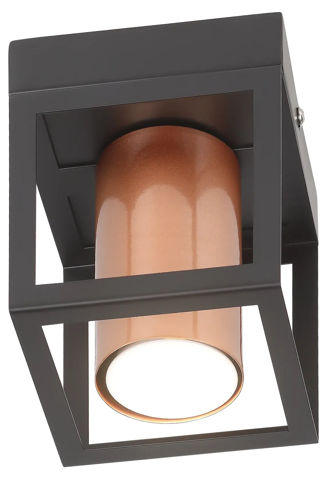 Светильник потолочный Raffaela 5082-201 1 х GU10 25 Вт накладной для натяжных потолков лофт - кантри Rivoli Б0051233