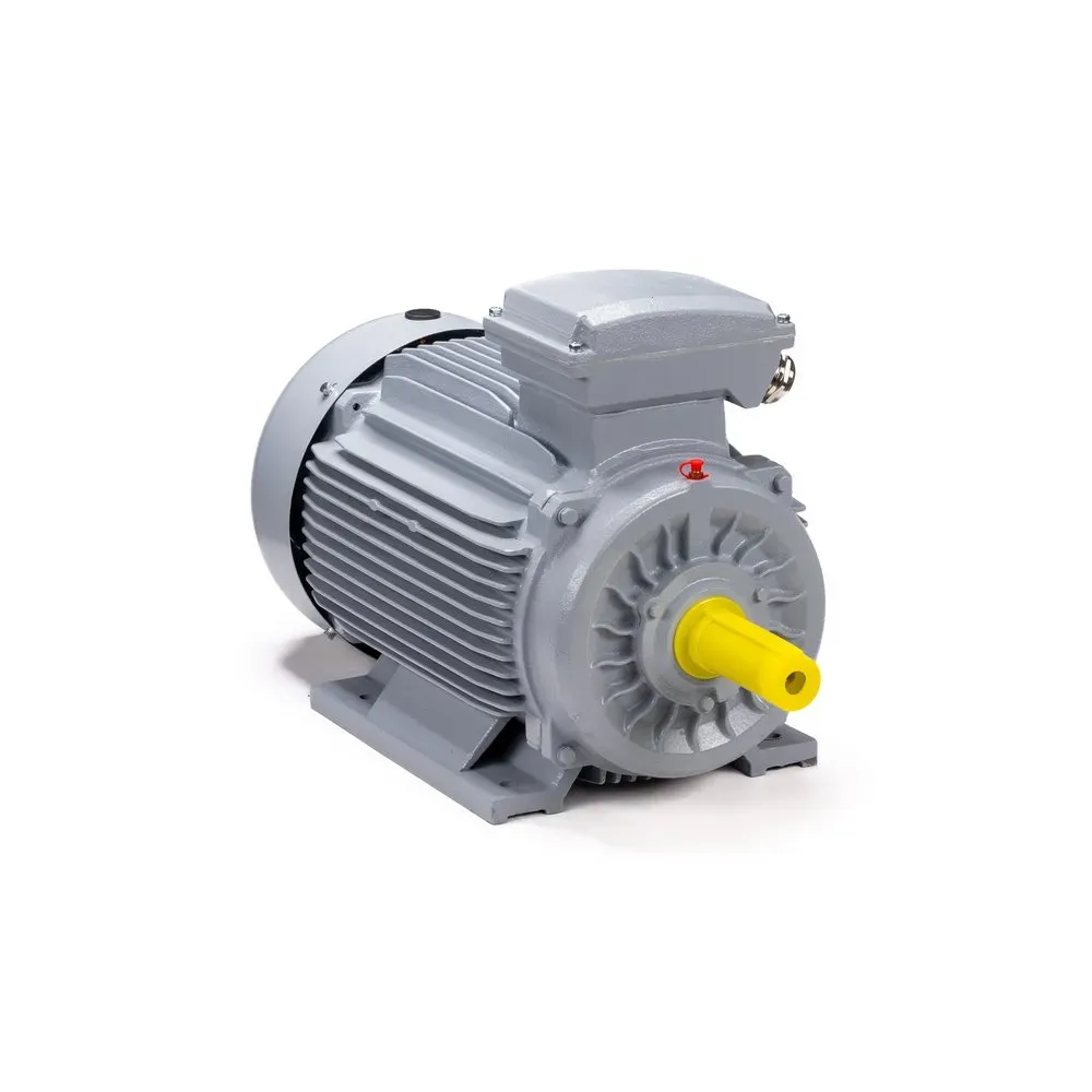 Электродвигатель общепромышленный ESQ PR 132 SB2-SDN-Б1-S12-IE2 7.6/3000  IM B3 ESQ 01.05.02.000015