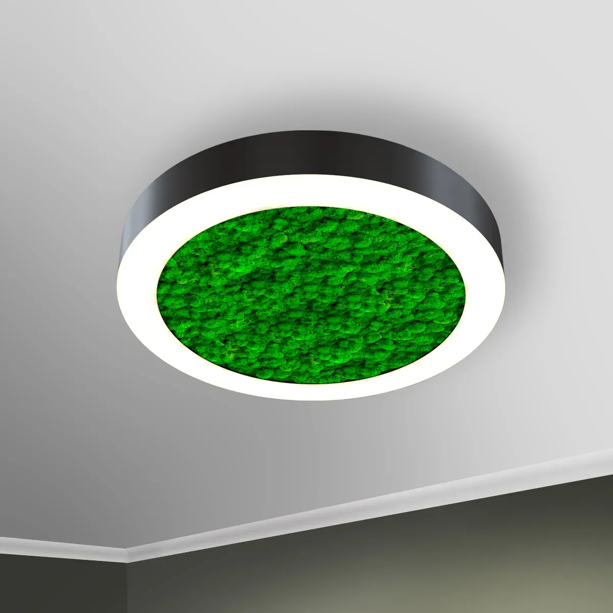 Светильник светодиодный RVE-LBX-MOSS-RING-500-N (Кольцо 500х500х100мм S80мм 33Вт Накладной 4000К Белый) RVElektro RVE00002140