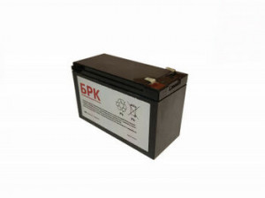 Батарейный комплект БРК 110 (RBC110)
