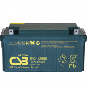 Аккумуляторная батарея общего применения CSB EVX12650 CSB 12В 65 Ач